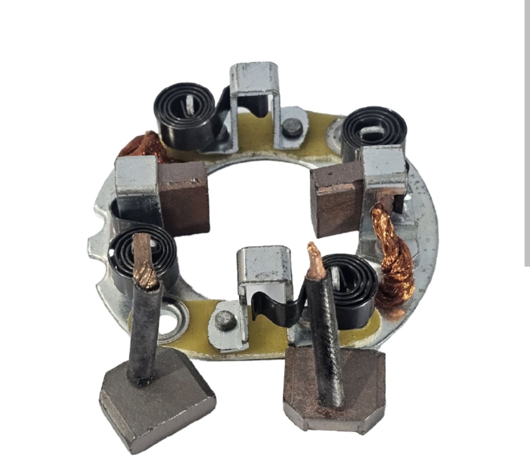 جاذغالی ماکسیما