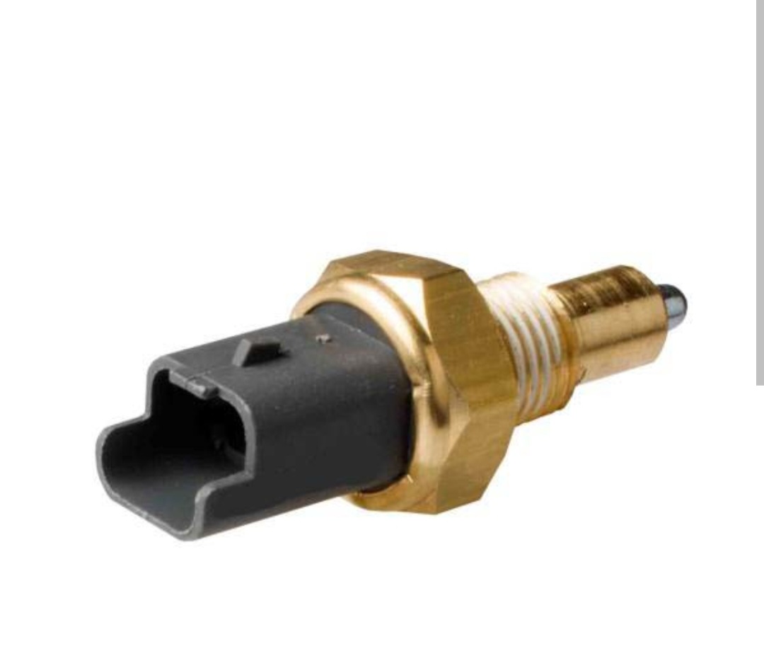 فشنگی آب کله سبز